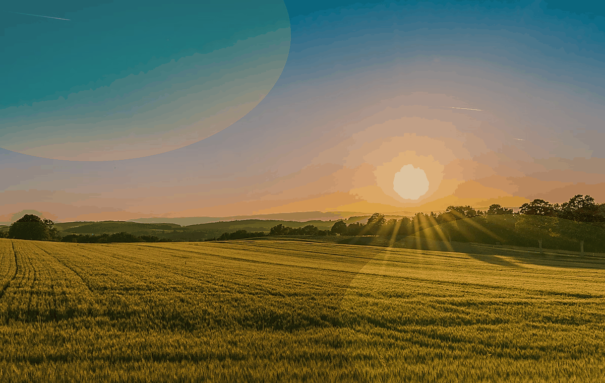 Agricultura e Rural - imagem principal